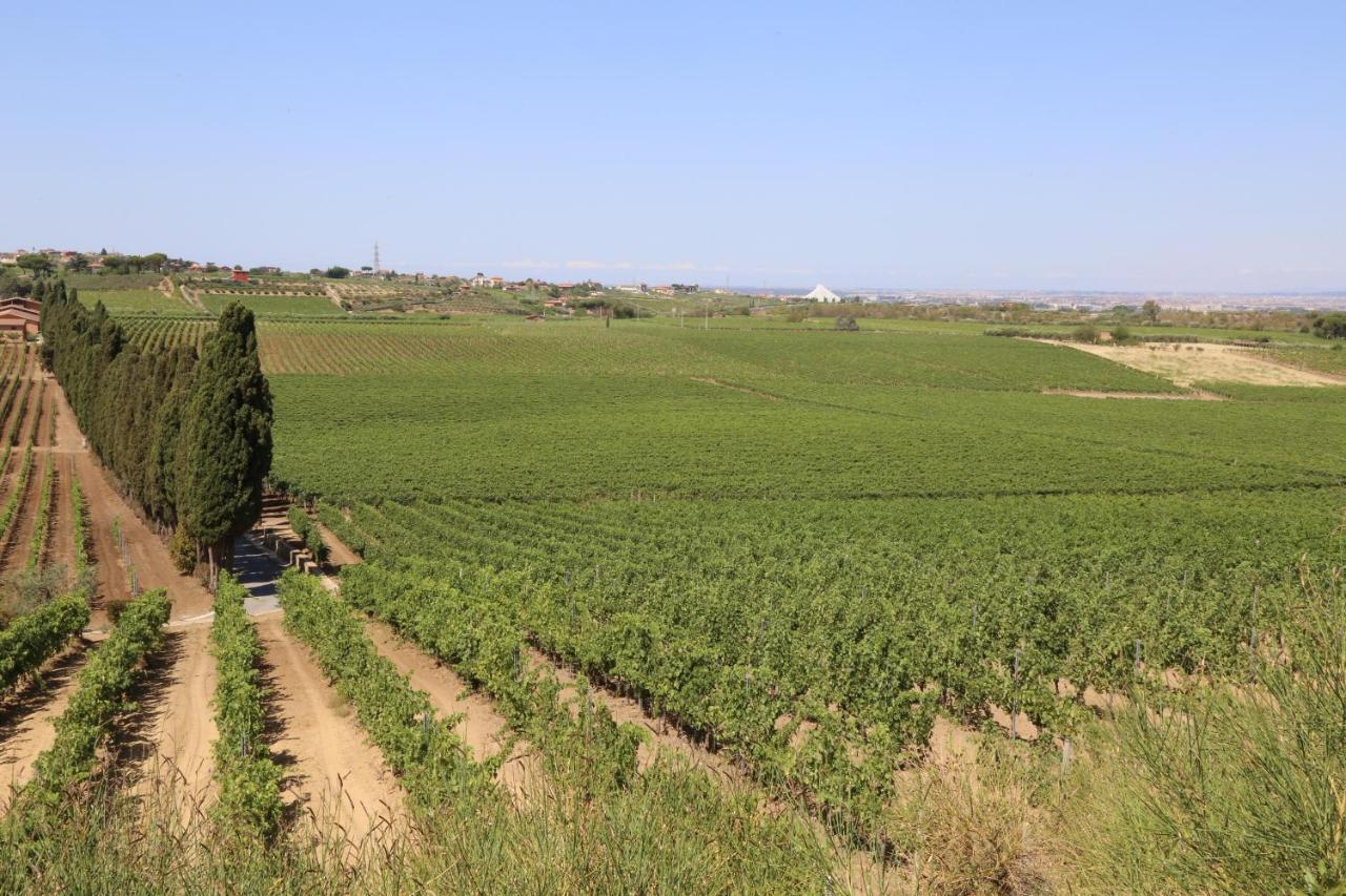 Tenuta Di Pietra Porzia Monte Porzio Catone Exteriör bild