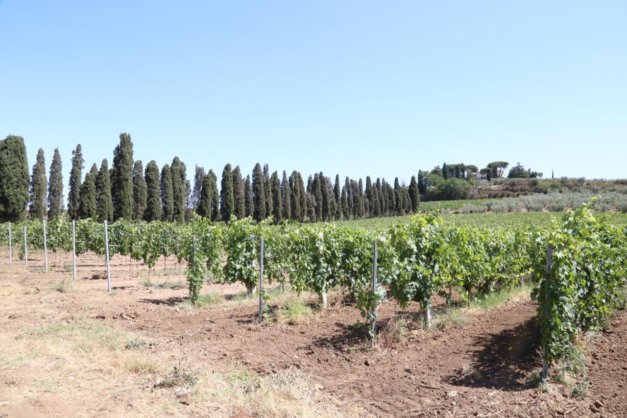 Tenuta Di Pietra Porzia Monte Porzio Catone Exteriör bild