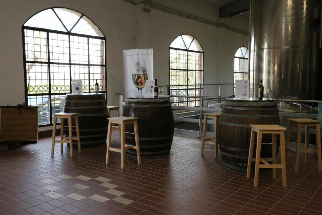 Tenuta Di Pietra Porzia Monte Porzio Catone Exteriör bild